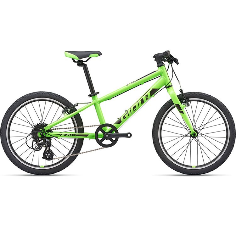 Bicicleta pentru copii Giant ARX photo Bicicleta pentru copii Giant ARX photo